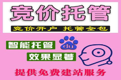 案例分析：SEM搜索引擎优化效果提升之道